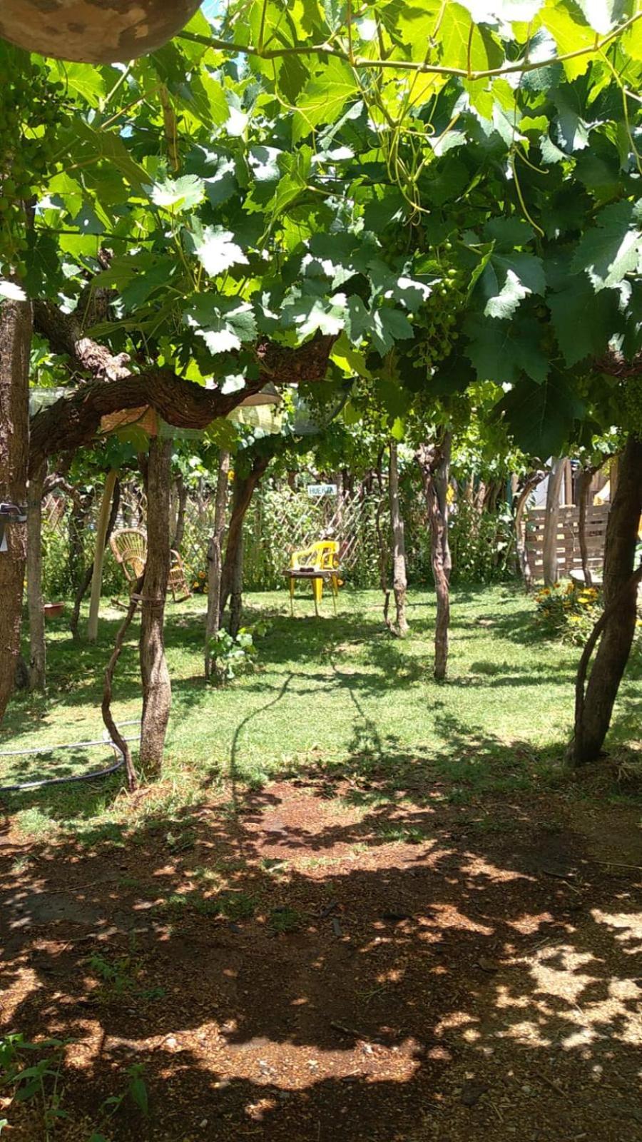Casa Prana Hostel Cafayate Bagian luar foto